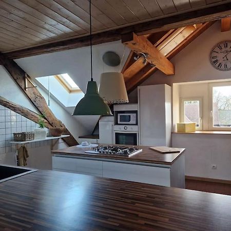 Le Grenier Apartment Dannemarie  Екстериор снимка