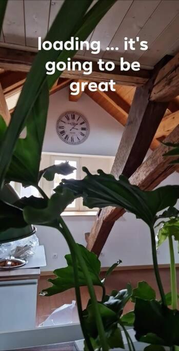 Le Grenier Apartment Dannemarie  Екстериор снимка